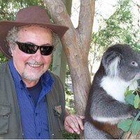 Umberto Torelli (@utorelli) 's Twitter Profile