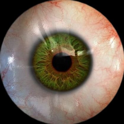 owomybreadburnt's profile picture. *•°Adult ★NSFW mostly
*•°★they/them
*•°★so many fandoms anyway I'm lazy to write all 
*•°★basic dni