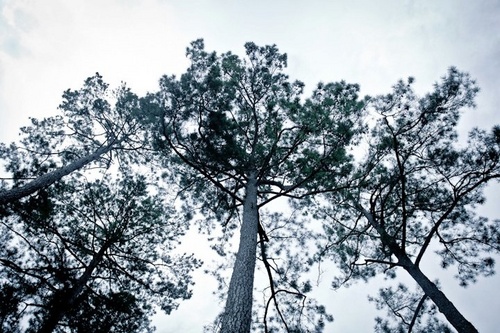 reubenmills's profile picture. Temple University Doctoral Candidate