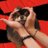 arihyungie07's profile image