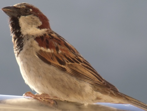 oflekoflek's profile picture. Dünyada tükenmez murat var imiş...