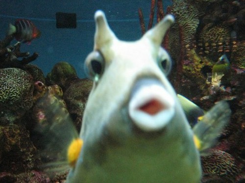 Itswhatwedo1's profile picture. Going the Extra Mile ... Bringing New Products to Market... Giving Excellent Customer Service