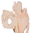 egoborea's profile image