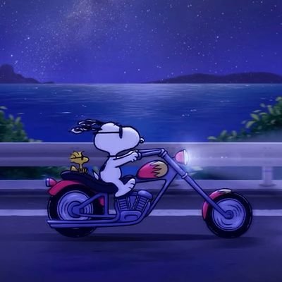 ミットナイトカンガルー