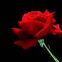 Denise STEPHENS - @moccadee1 - Twitter