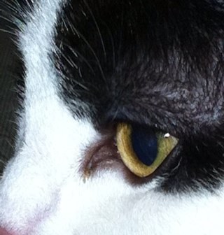 smday2005's profile picture. A Dyspraxic Christian who Loves God who's recently moved to Leigh on Sea