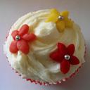 Abigail Miller - @AbiMiller01 - Twitter