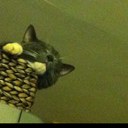 Esther Atkinson - @esthermuffin - Twitter