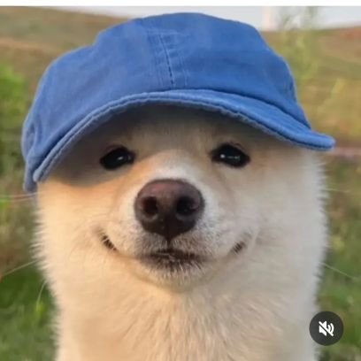 Assistant boyfriend 😬