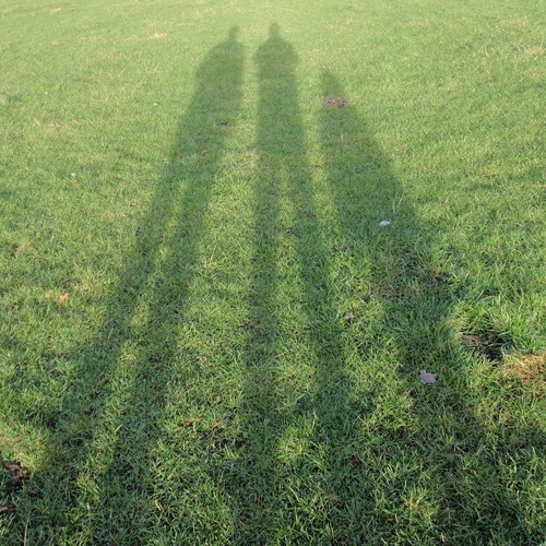 I like hill walking, camping, geocaching, books, Batman and spending time with my family. Often all at the same time.