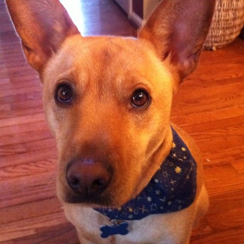 KelleyTyrell's profile picture. 