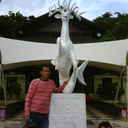 bee Francis - @francis_bee - Twitter