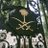 rav6696's profile image