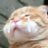 achh_'s profile image