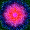 Laura Linkous - @lx3_2009 - Twitter