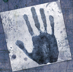 davidmufer's profile picture. Autonomy Consultant. Information Retrieval and Enterprise Search Specialist