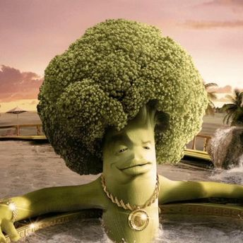 y0ungd1p🇲🇦🇳🇱