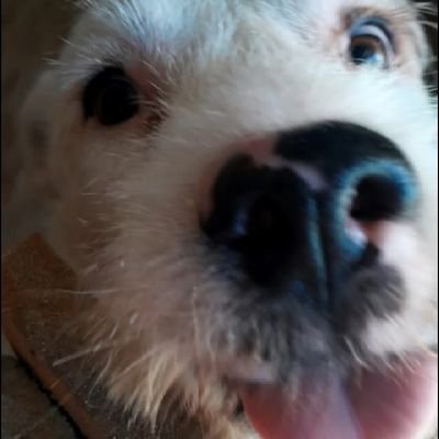 Corinthians minha vida 🖤🤍(Ellen)