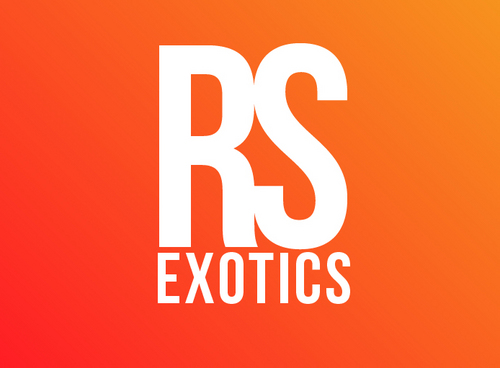 RsExotics's profile picture. Find all of your exclusive car video's here! The great exhaust notes, or just the great looks of the most exclusive and rarest cars in the world!