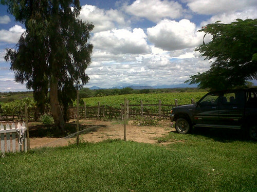 Romyhv's profile picture. 