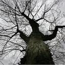 Alyson Foster - @fosteralyson - Twitter