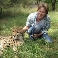 Maya Oosterhoff (@leopardleap) 's Twitter Profile