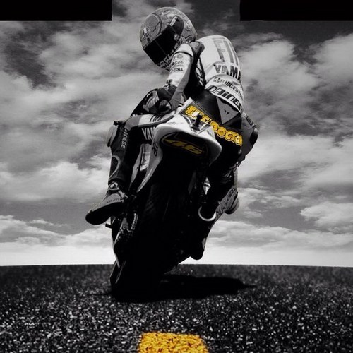 marcogov's profile picture. 