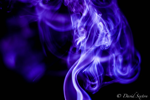 SextonD7's profile picture. Photographer