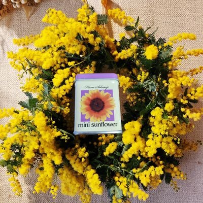 mco_FLOWER_kaze's profile picture. 「旅路」で知りFreeliveで衝撃受け風沼に！人生最悪の時期も風くんの歌に癒されてる。 10/16初生風🍃LAAT1/14.15,1/22日産25日🌈⛅🌴🇹🇼🇰🇷✈️𓈒𓂂8/17たまアリ🍃ガチファン
Vaundy大人VAWS。Penthouse武道館！風手芸部
花と風景手芸も大好き❤