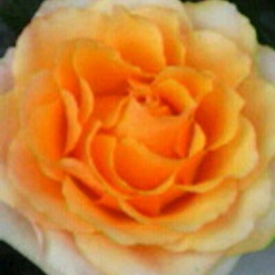山田さとみ Satomi0927y Twitter