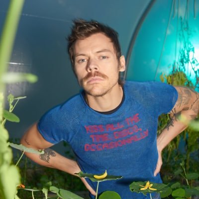 ⋆. 𐙚˚࿔ 𝓒ꫝ꠸ꫝ꠸᥅ꪮ ᧔࿔᧓˚⋆