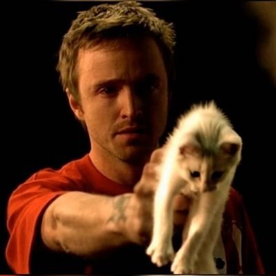 jesse pinkman of edtwt 😽