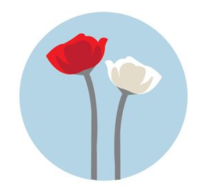 HRAssassin's profile picture. Non-conventional Consultant specialising in Training, HR & Business Development. Usually found with books, horses, dogs, wine or people. Ace with nunchukas!