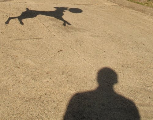 alasdairLLJ's profile picture. 