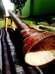 didgeridoocolom's profile picture. venta y construcción de didgeridoos talleres y estuches               terapias  apnea del sueño