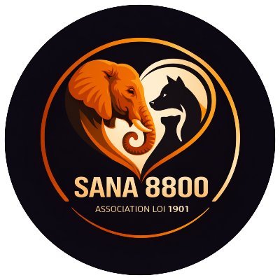 The Sound Of Animals