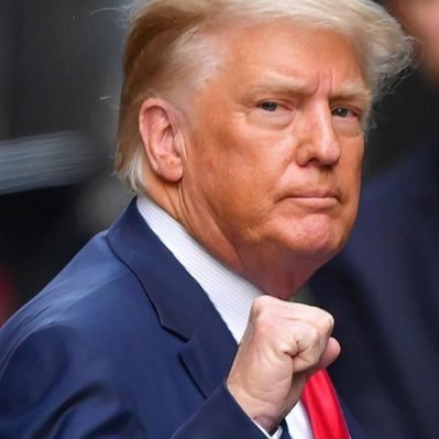 SupportTrump642's profile picture. When something is important enough, you do it even if the odds aren’t in your favor