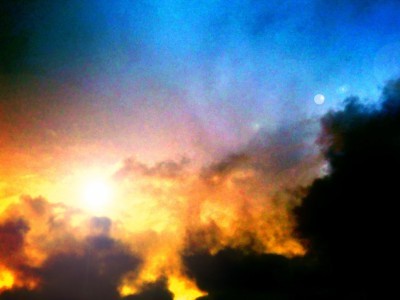 88_and_peony's profile picture. 農学部卒。2011年狩猟免許、猟銃所持免許取得。持ち手は上下二連の外国製のなにか。ジビエ好き。夢は単独イノシシ猟。