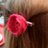 nashvilletamn's profile image