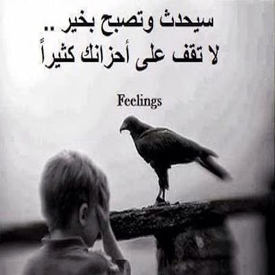 عبدالإله شُـعيب2