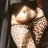 beautifulhusba6's profile image