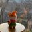 Tunic_san's profile image