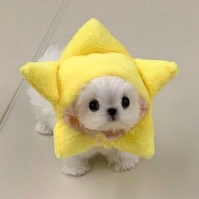 ﾋﾟﾁｬﾝ