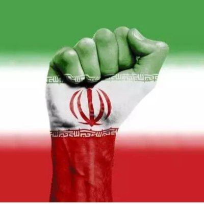 javid_Iran1405's profile picture. فلسطین را از اشغال در می آوریم
و تا جهان
پیش می‌رویم✊🏻✌🏻