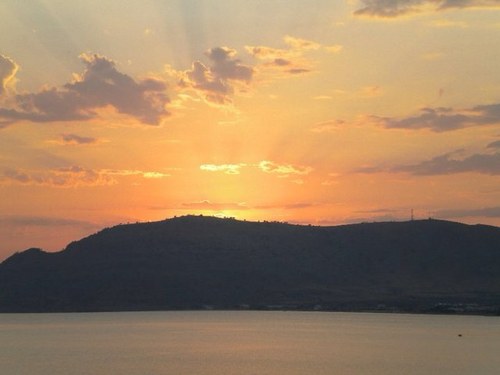 erikamartinell1's profile picture. 