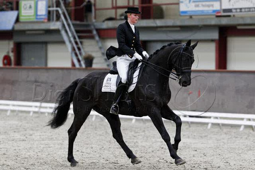 Dressuurstal gericht op het opleiden en uitbrengen van getalenteerde dressuurpaarden.