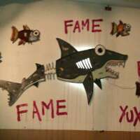 willypet's profile picture. 