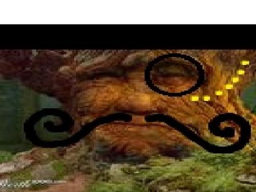 FocusTrees Profile Picture