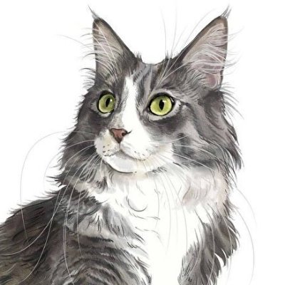 ふぶきち | AIで無双するフリーエンジニア