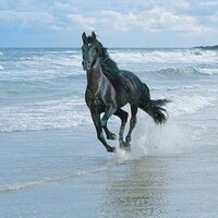samuel katchen (@drfager) 's Twitter Profile